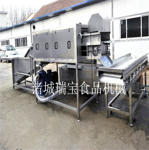 吉林高壓力大姜清洗流水線聯系方式在線咨詢