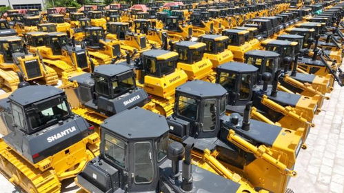 大陸_齊魯網(wǎng)