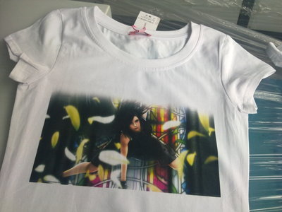 【北京供應(yīng)諾彩深色高檔服裝數(shù)碼直噴打印機】價格,廠家,圖片,數(shù)碼印刷機/萬能打印機,廣州諾彩數(shù)碼產(chǎn)品-