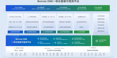 博睿數據領跑中國IT統一運維市場，2023H2報告揭示行業新風向